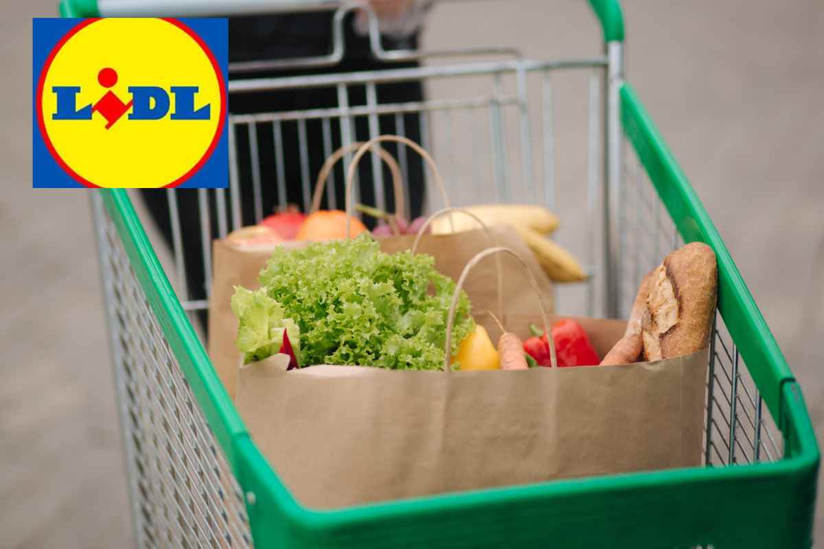 Lidl, arriva la svolta con soli 25€: non ingombra e si adatta anche alle cucine più piccole
