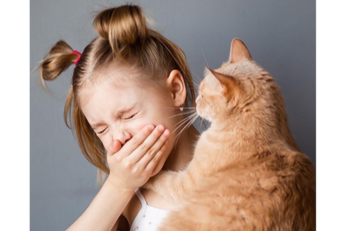 Un gatto rilassato su un divano, con accanto un purificatore d'aria per allergici.